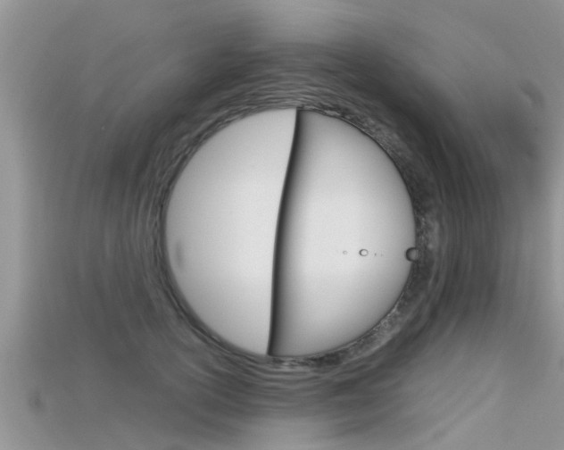 X0000115680754200911120947