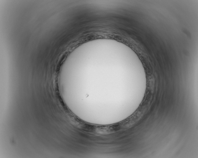 X0000115680757200911120947