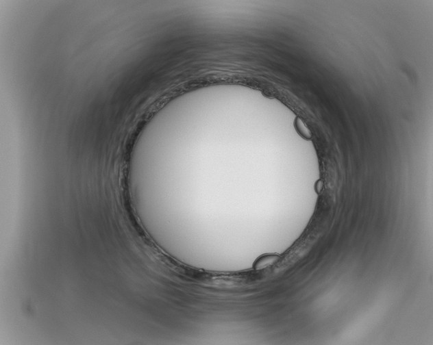X0000115680758200911120947
