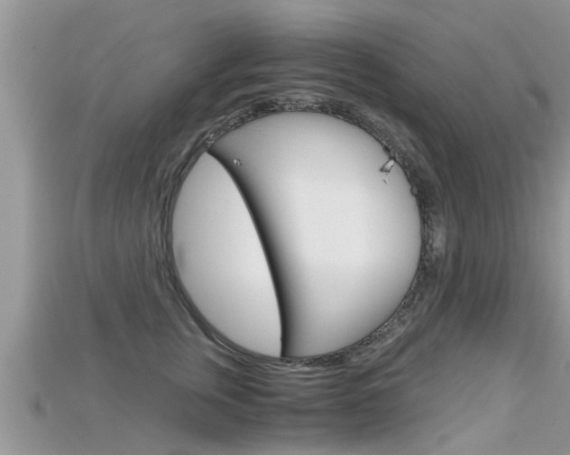 X0000115680759200911120947