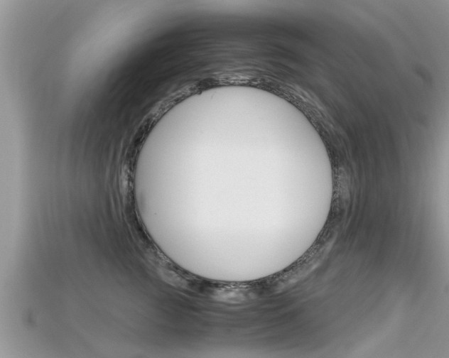 X0000115680761200911120947