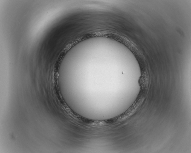 X0000115680762200911120947
