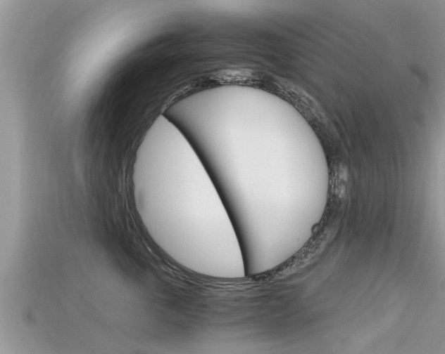 X0000115680763200911120947