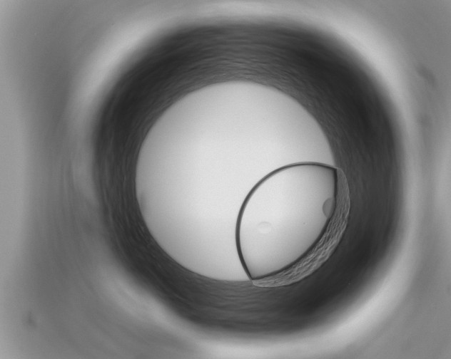 X0000115680766200911120947