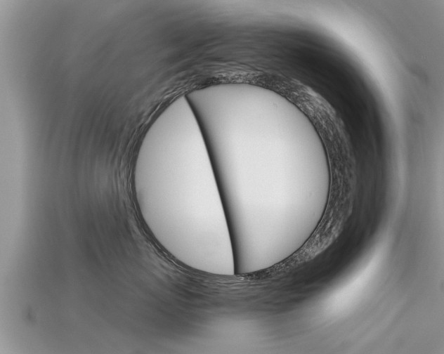 X0000115680767200911120947