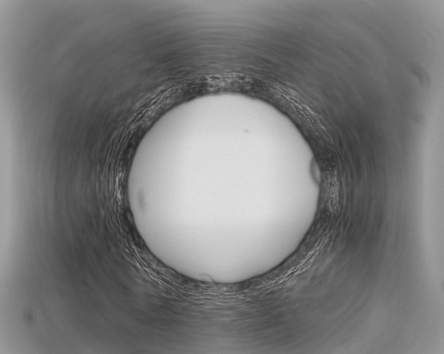 X0000115680770200911120946