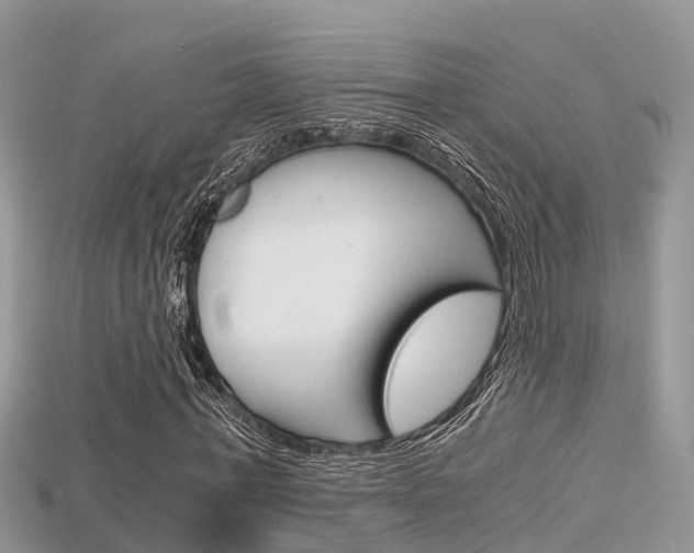 X0000115680771200911120946
