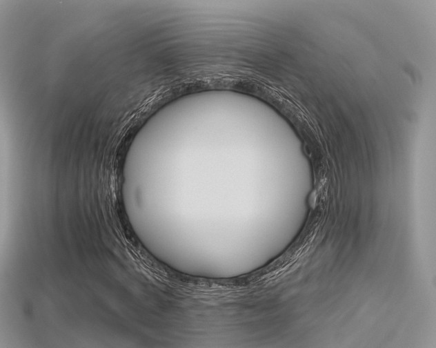 X0000115680772200911120946