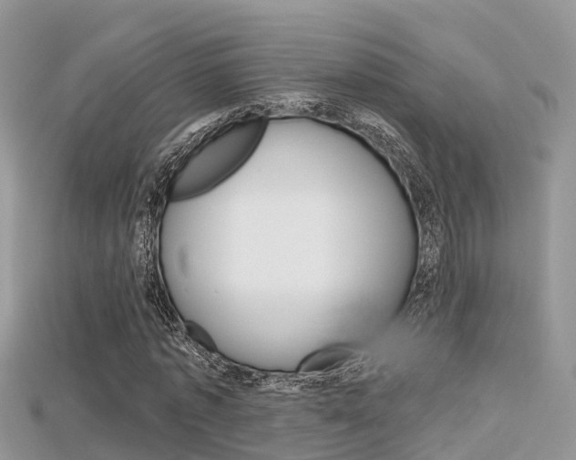 X0000115680773200911120946