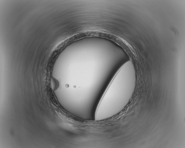 X0000115680775200911120946