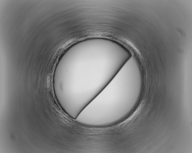 X0000115680777200911120946