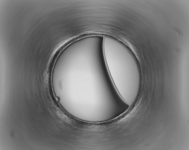 X0000115680779200911120946