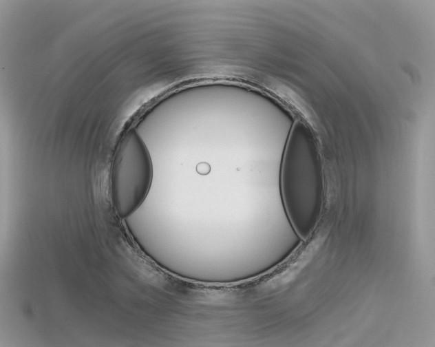 X0000115680781200911120946