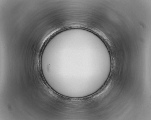 X0000115680782200911120946