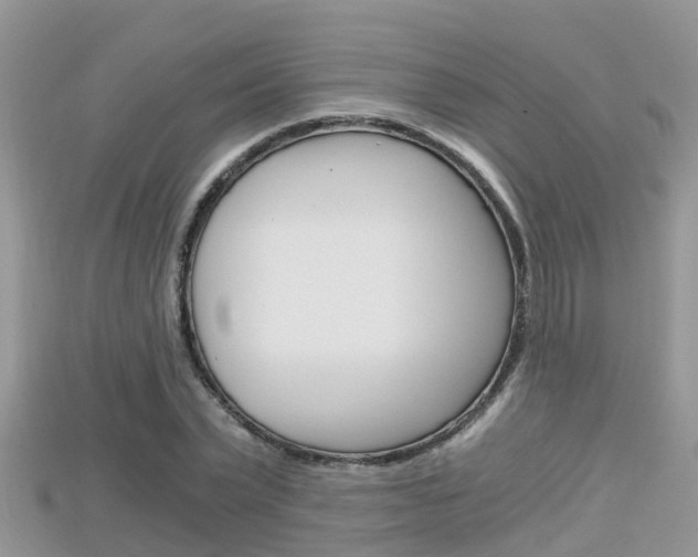X0000115680783200911120946