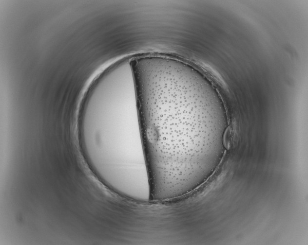 X0000115680784200911120946