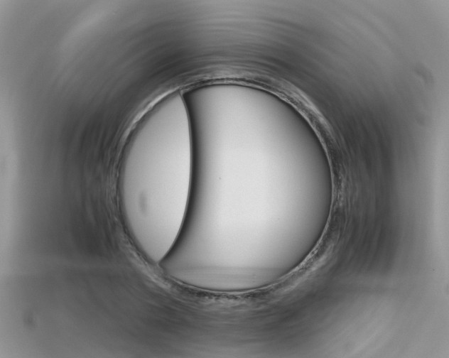 X0000115680786200911120946