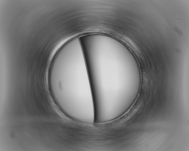 X0000115680788200911120946