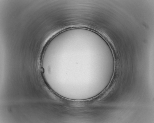 X0000115680789200911120946