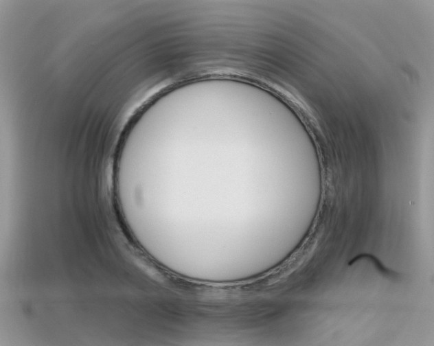 X0000115680790200911120946