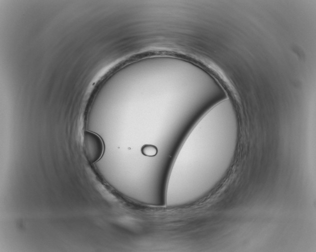 X0000115680791200911120946