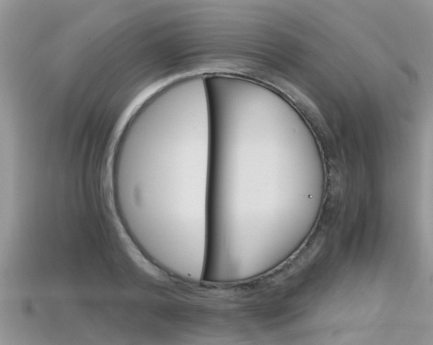 X0000115680792200911120946
