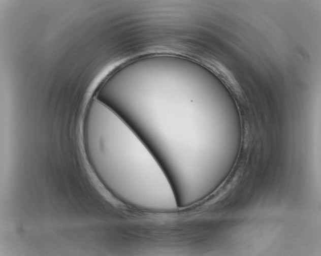X0000115680796200911120946