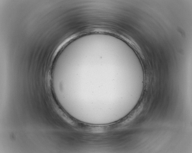 X0000115680798200911120946