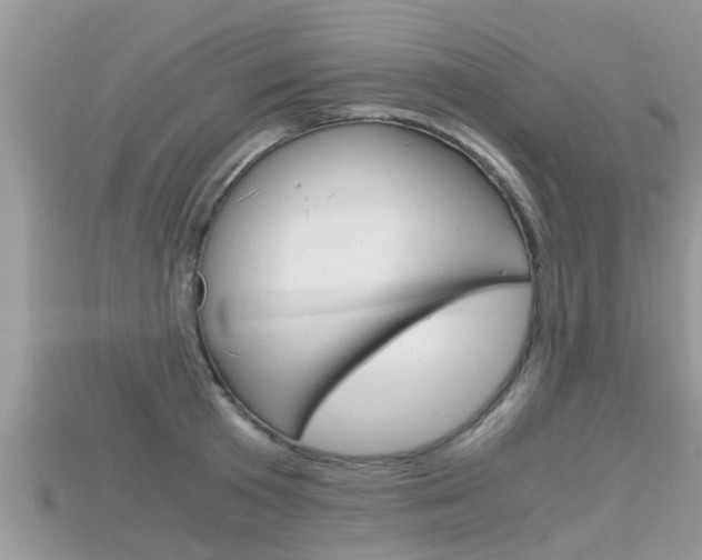 X0000115680801200911120946