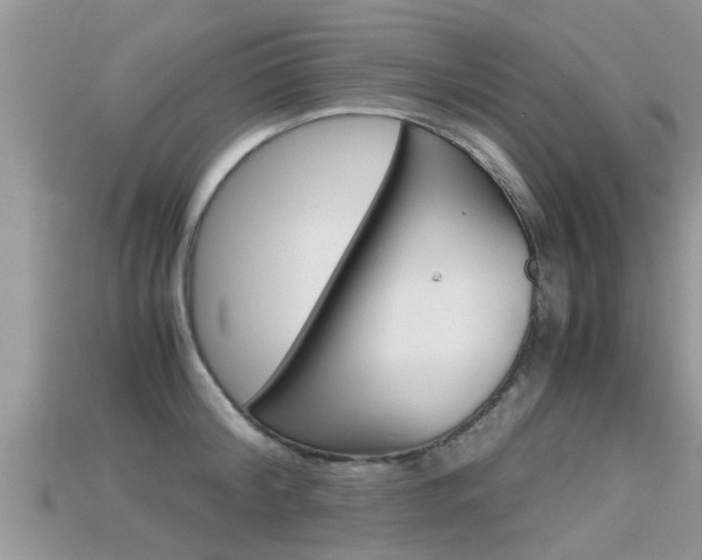 X0000115680804200911120946