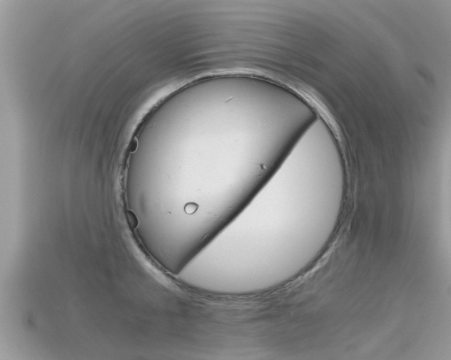X0000115680805200911120946