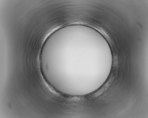 X0000115680806200911120946