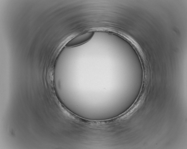 X0000115680809200911120946