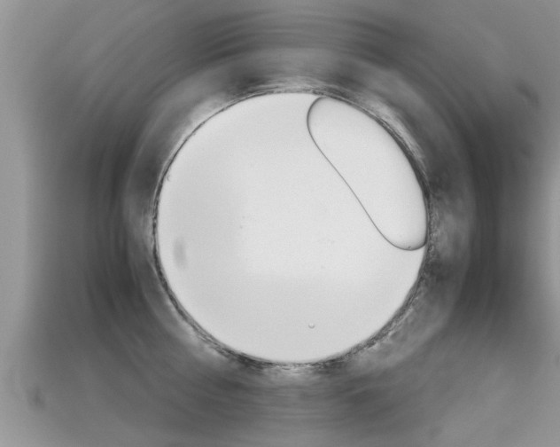 X0000115680810200911120946