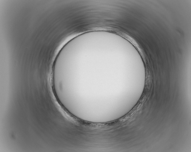 X0000115680811200911120946