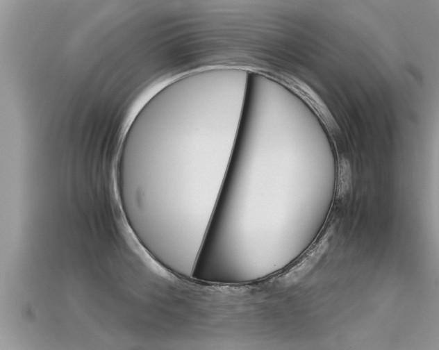 X0000115680812200911120946
