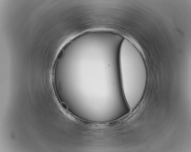 X0000115680813200911120946