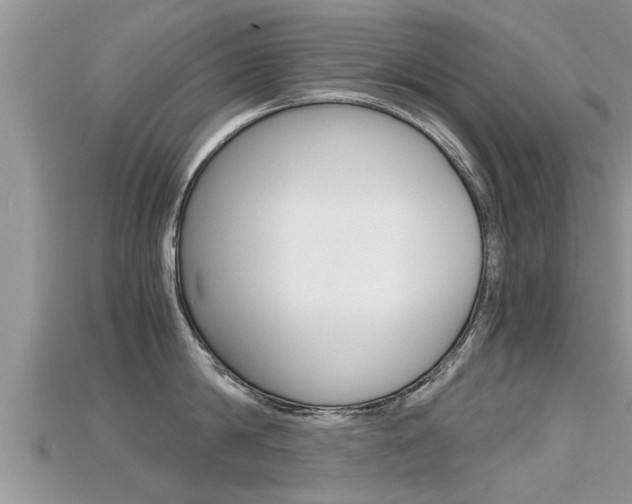 X0000115680814200911120946
