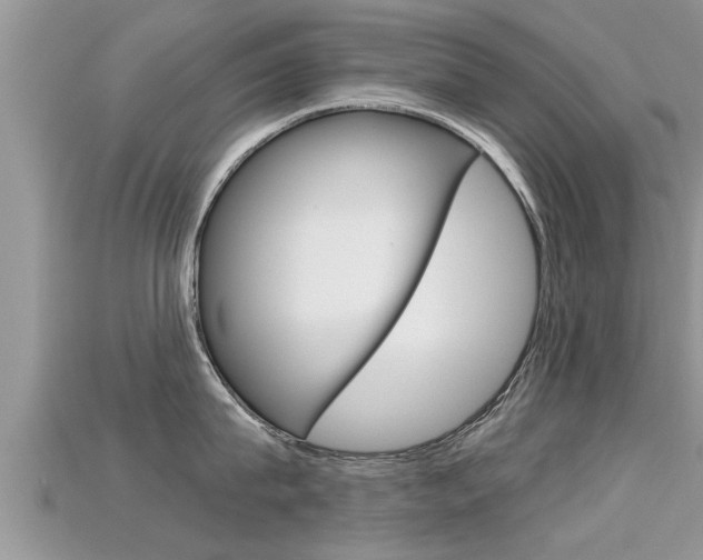 X0000115680815200911120946