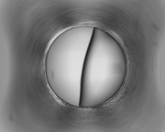 X0000115680816200911120946