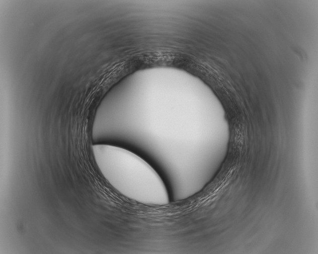 X0000115680818200911120945
