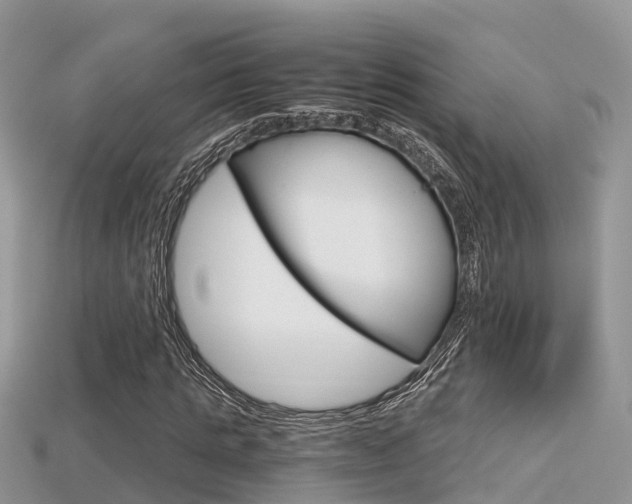 X0000115680821200911120945