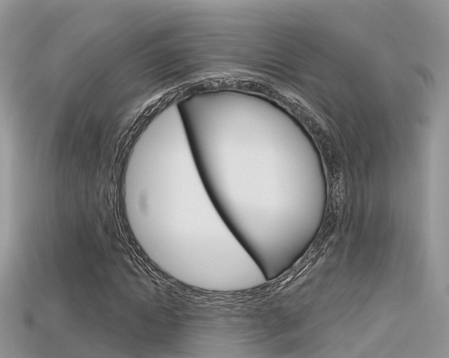 X0000115680822200911120945