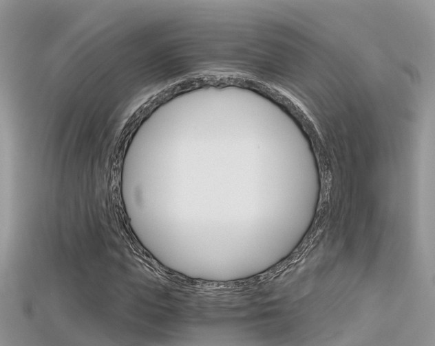 X0000115680823200911120945