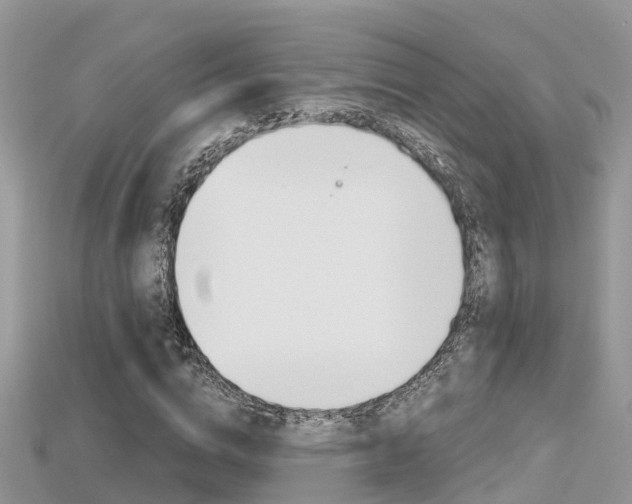 X0000115680824200911120945