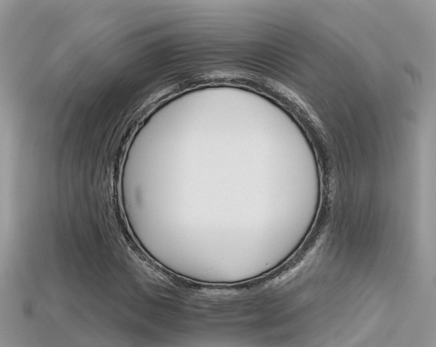 X0000115680825200911120945