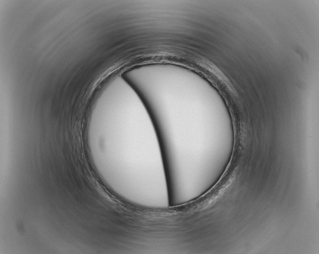 X0000115680826200911120945