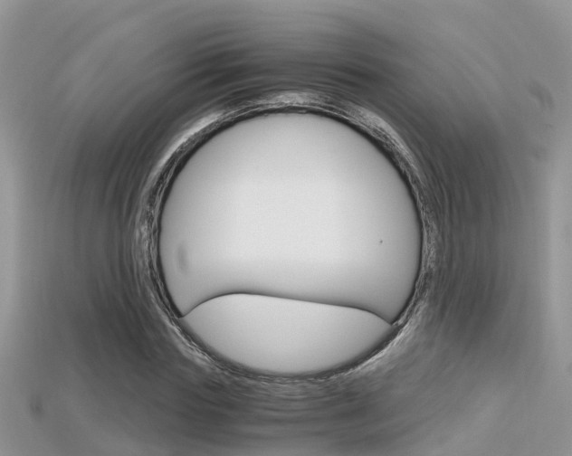 X0000115680827200911120945