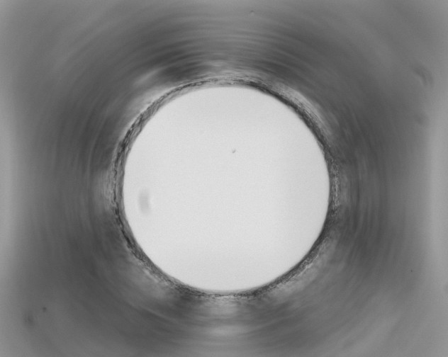 X0000115680828200911120945