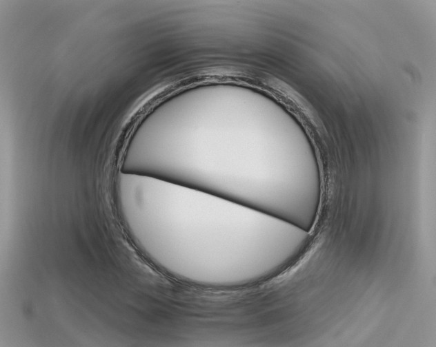 X0000115680829200911120945